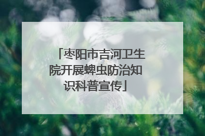 枣阳市吉河卫生院开展蜱虫防治知识科普宣传