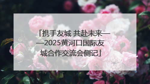 携手友城 共赴未来——2025黄河口国际友城合作交流会侧记