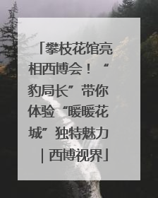 攀枝花馆亮相西博会！“豹局长”带你体验“暖暖花城”独特魅力｜西博视界