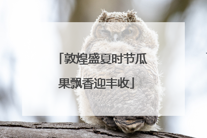 敦煌盛夏时节瓜果飘香迎丰收