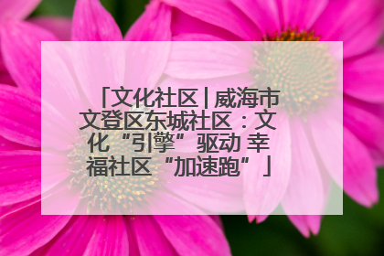 文化社区│威海市文登区东城社区：文化“引擎”驱动 幸福社区“加速跑”