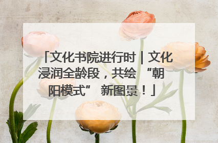 文化书院进行时｜文化浸润全龄段，共绘 “朝阳模式” 新图景！