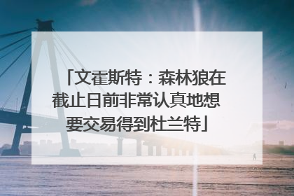 文霍斯特：森林狼在截止日前非常认真地想要交易得到杜兰特