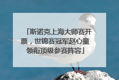 斯诺克上海大师赛开票，世锦赛冠军赵心童领衔顶级参赛阵容