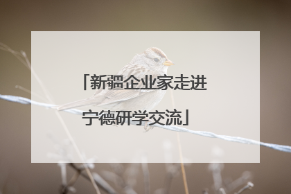 新疆企业家走进宁德研学交流