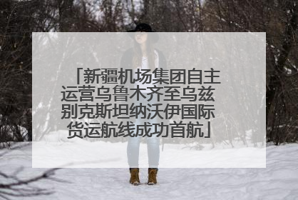 新疆机场集团自主运营乌鲁木齐至乌兹别克斯坦纳沃伊国际货运航线成功首航