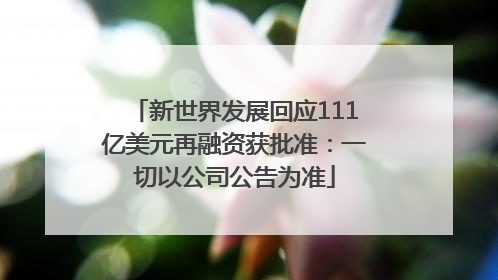新世界发展回应111亿美元再融资获批准：一切以公司公告为准