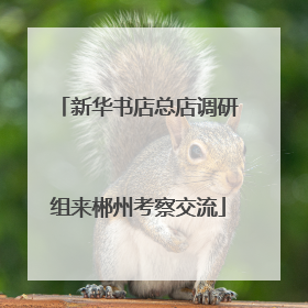 新华书店总店调研组来郴州考察交流