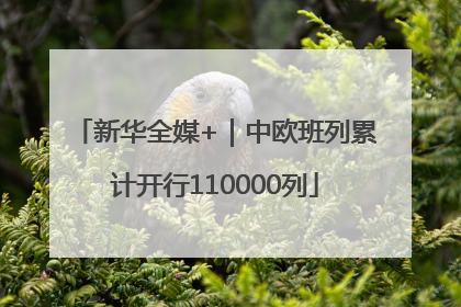新华全媒+｜中欧班列累计开行110000列