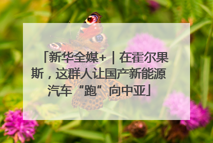 新华全媒+｜在霍尔果斯，这群人让国产新能源汽车“跑”向中亚