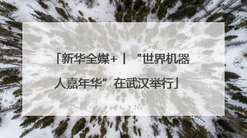 新华全媒+丨“世界机器人嘉年华”在武汉举行
