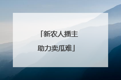 新农人播主 助力卖瓜难