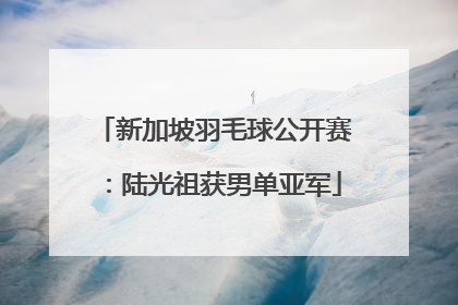 新加坡羽毛球公开赛：陆光祖获男单亚军