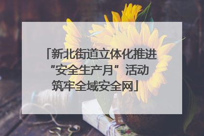 新北街道立体化推进“安全生产月”活动 筑牢全域安全网