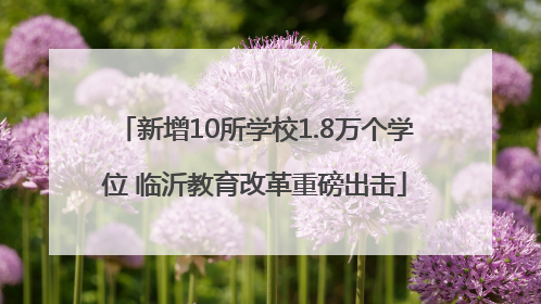 新增10所学校1.8万个学位 临沂教育改革重磅出击