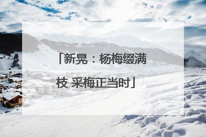 新晃：杨梅缀满枝 采梅正当时