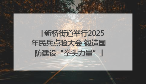 新桥街道举行2025年民兵点验大会 锻造国防建设“拳头力量”