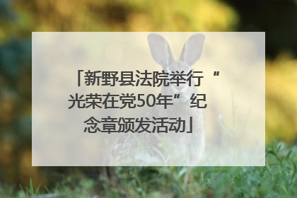新野县法院举行“光荣在党50年”纪念章颁发活动