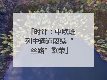 时评：中欧班列中通道赓续“丝路”繁荣