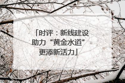 时评：新线建设助力“黄金水道”更添新活力