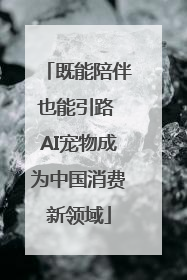 既能陪伴也能引路 AI宠物成为中国消费新领域