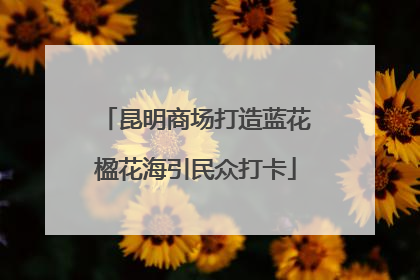 昆明商场打造蓝花楹花海引民众打卡