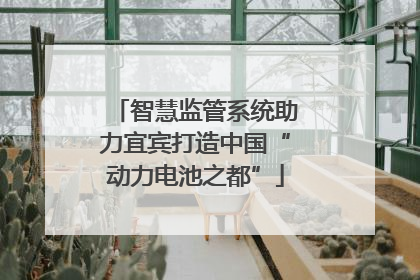 智慧监管系统助力宜宾打造中国“动力电池之都”