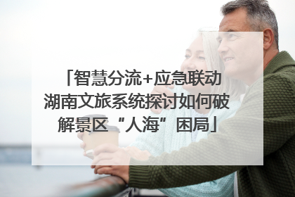 智慧分流+应急联动 湖南文旅系统探讨如何破解景区“人海”困局