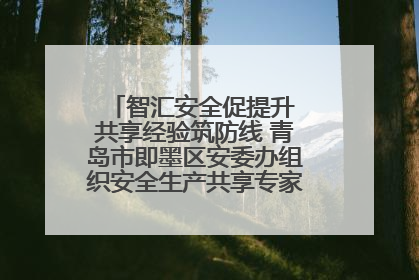 智汇安全促提升 共享经验筑防线 青岛市即墨区安委办组织安全生产共享专家现场观摩学习活动