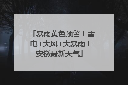 暴雨黄色预警！雷电+大风+大暴雨！安徽最新天气
