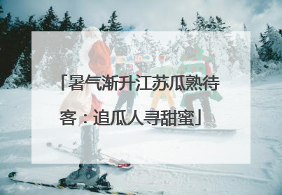 暑气渐升江苏瓜熟待客：追瓜人寻甜蜜