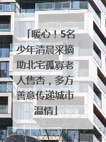 暖心！5名少年清晨采摘助北宅孤寡老人售杏，多方善意传递城市温情