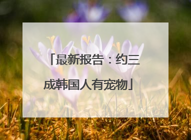 最新报告：约三成韩国人有宠物