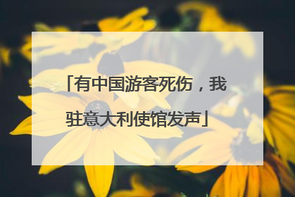 有中国游客死伤，我驻意大利使馆发声