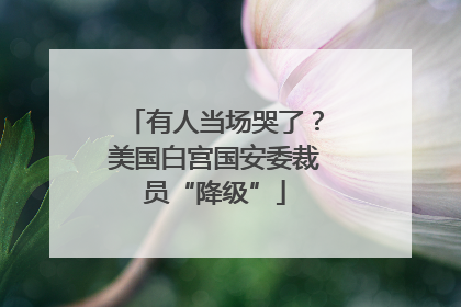 有人当场哭了？美国白宫国安委裁员“降级”