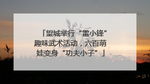 望城举行“雷小锋”趣味武术活动，六百萌娃变身“功夫小子”