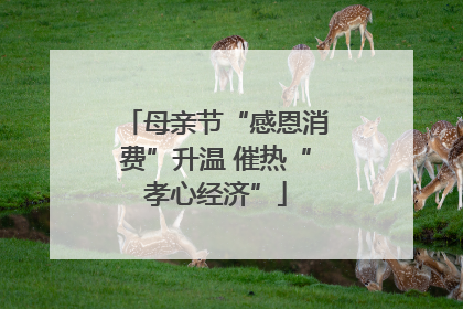 母亲节“感恩消费”升温 催热“孝心经济”