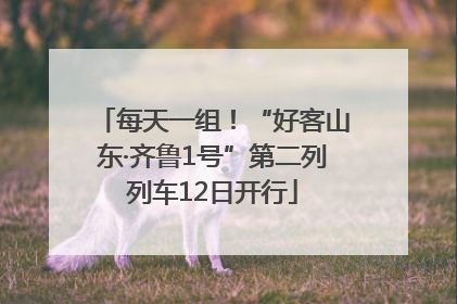 每天一组！“好客山东·齐鲁1号”第二列列车12日开行