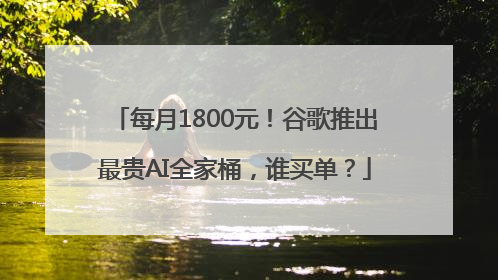 每月1800元！谷歌推出最贵AI全家桶，谁买单？