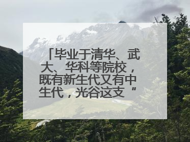 毕业于清华、武大、华科等院校，既有新生代又有中生代，光谷这支“理工男团”为何“出道”？