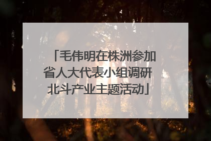 毛伟明在株洲参加省人大代表小组调研北斗产业主题活动