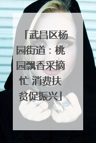 武昌区杨园街道：桃园飘香采摘忙 消费扶贫促振兴