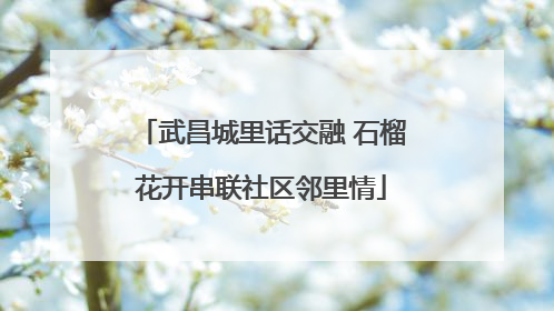 武昌城里话交融 石榴花开串联社区邻里情