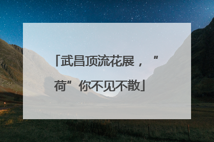 武昌顶流花展，“荷”你不见不散