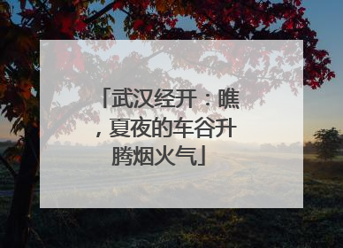 武汉经开：瞧，夏夜的车谷升腾烟火气