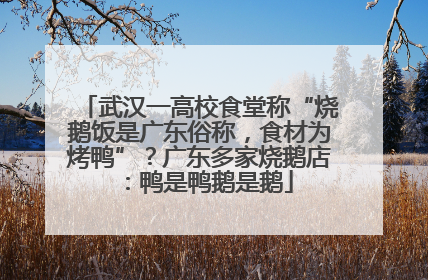 武汉一高校食堂称“烧鹅饭是广东俗称，食材为烤鸭”？广东多家烧鹅店：鸭是鸭鹅是鹅