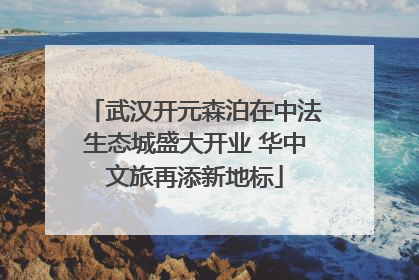 武汉开元森泊在中法生态城盛大开业 华中文旅再添新地标