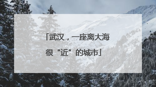 武汉，一座离大海很“近”的城市
