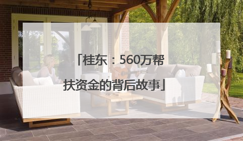 桂东：560万帮扶资金的背后故事