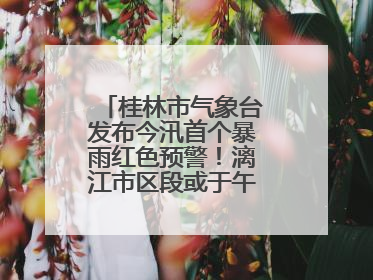 桂林市气象台发布今汛首个暴雨红色预警！漓江市区段或于午后迎来洪峰